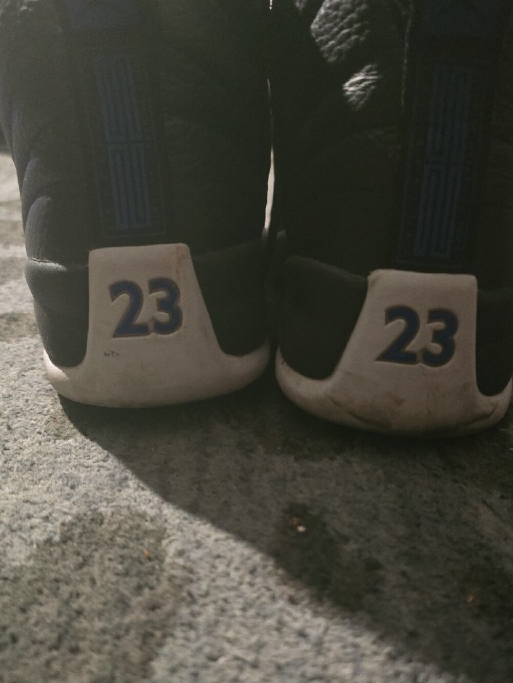 Jordan 12 - Picture 5 of 7